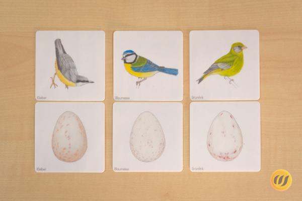 vogel_und_ei2