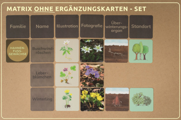 w_fb_druck_erg_3_a