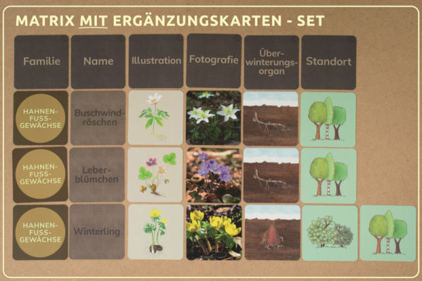 w_fb_druck_erg_3_b