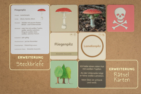 Themenkiste Pilze