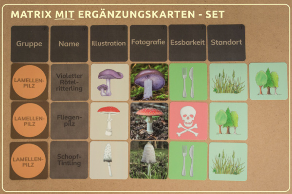 Themenkiste Pilze