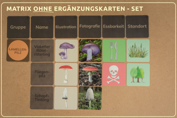 w_pilze_druck_erg_2_b