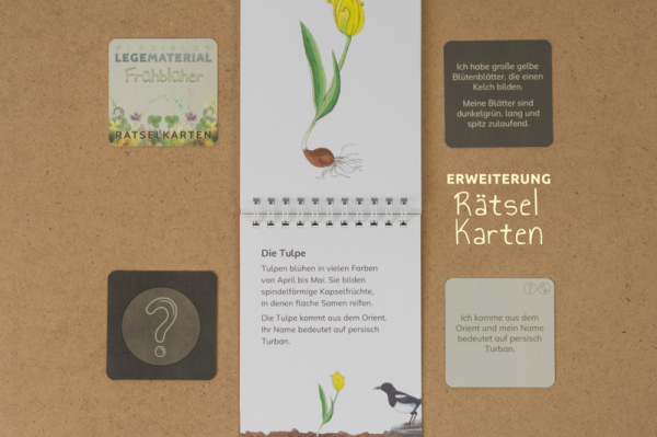 (Deutsch - Profidruck mit Spiralbindung)
