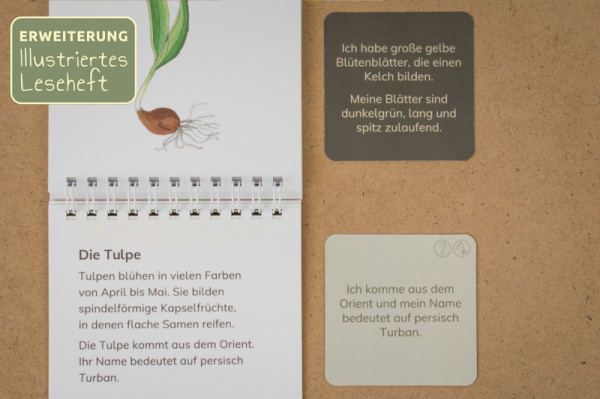 (Deutsch - Profidruck mit Spiralbindung)
