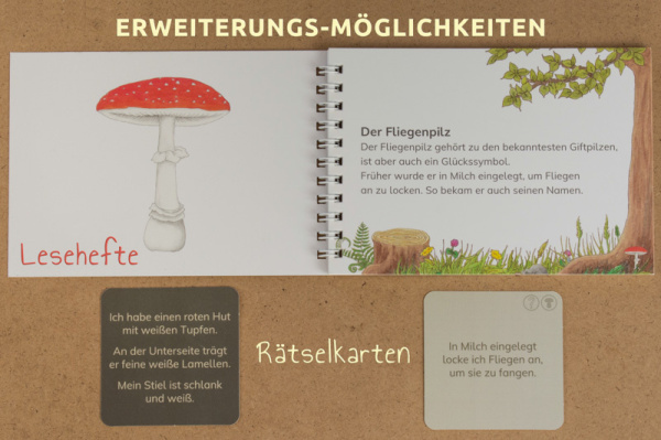 w_raetsel_pilze1