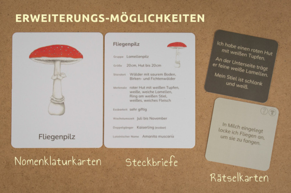 w_raetsel_pilze2