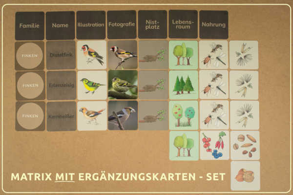 w_voegel_druck_erg_1_a