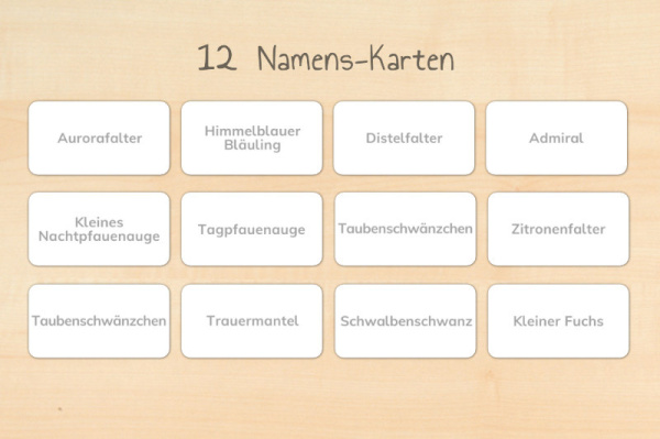 werkstatt_schmetterlinge_download4