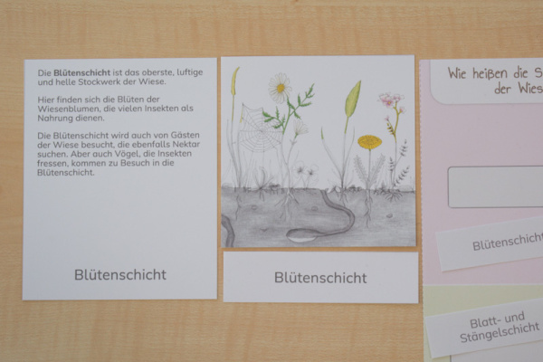 wiese_stockwerke_bewohner3