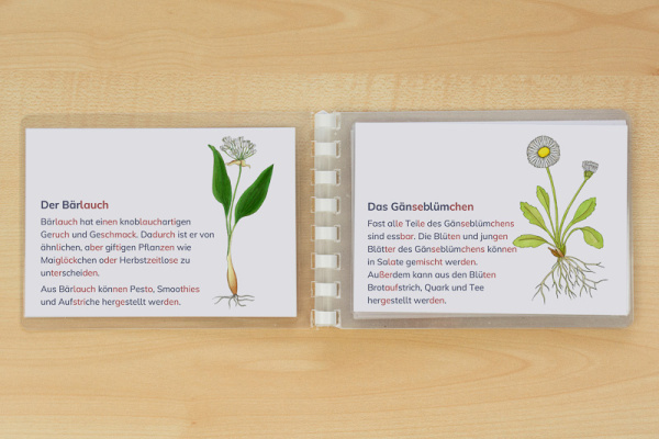 wildkraeuter_leseheft_silben1