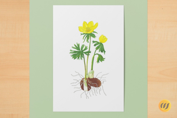 Digitaler Kunstdruck A6