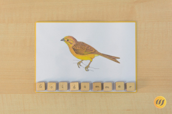 woerterlegen_voegel2