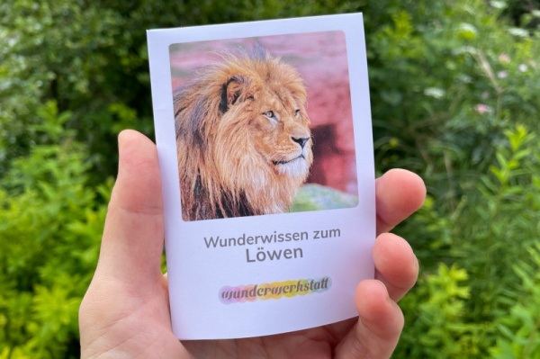 wunderwissen_faltbuechlein-loewe