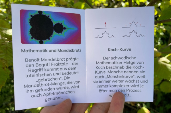 wunderwissen_fraktale