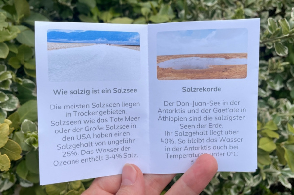 ww-salzseen