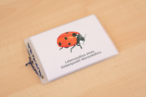 (Deutsch - Druckschrift - Download)