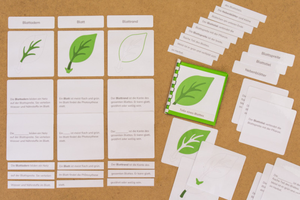 definitionsmaterial_teile_blatt_kinderhaus8