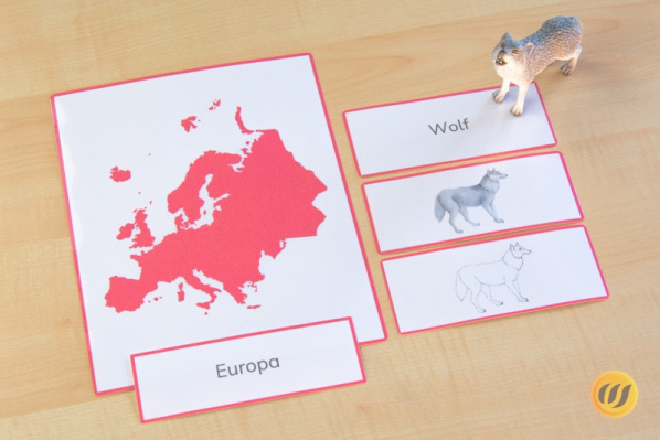 (Deutsch - Download)