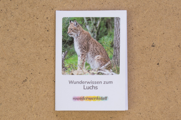 faltbuechlein_luchs