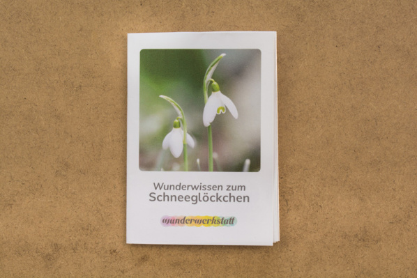 faltbuechlein_schneegloeckchen