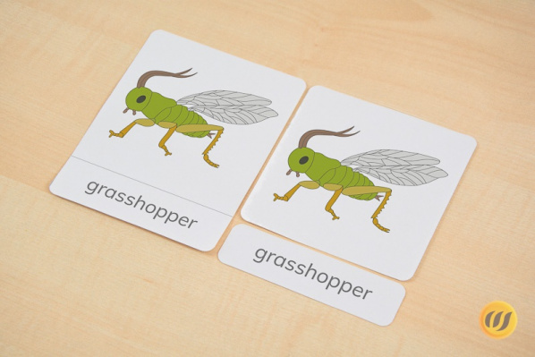 3 part cards grasshopper