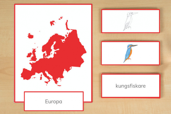 legematerial_tiere_europa_schwedisch