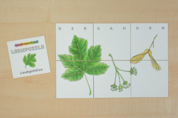 Lernpuzzle Laubgehölze