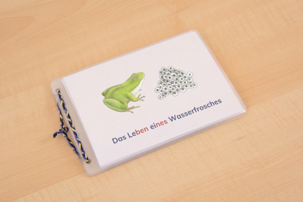 leseheft_frosch_silben