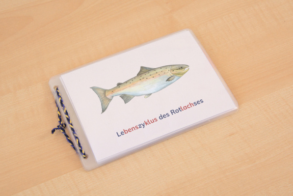 leseheft_lachs_silben
