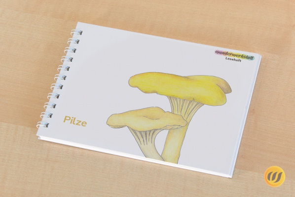 Leseheft 14 Pilze - illustriert