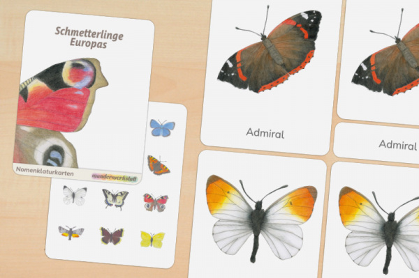 12 Nomenklaturkarten Schmetterlinge Europas