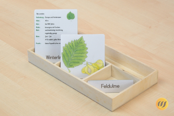 nomenklaturblaetterausfuehrlich