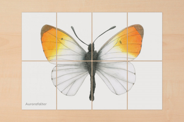 puzzle_raupe_schmetterling4