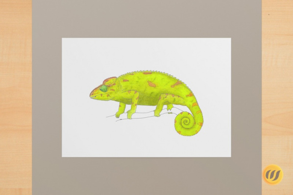 riesenchamaeleon