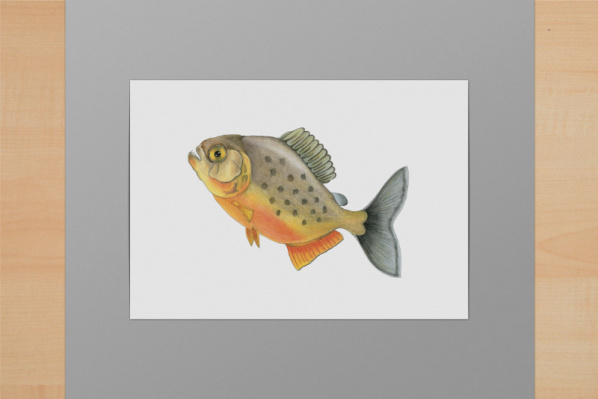 Roter Piranha A6