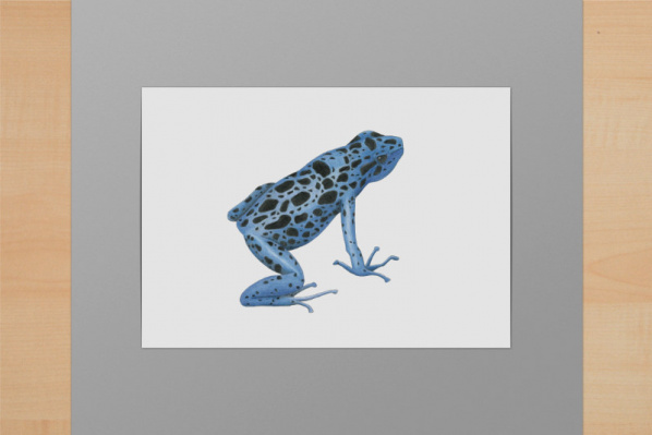 Blauer Baumsteiger A5
