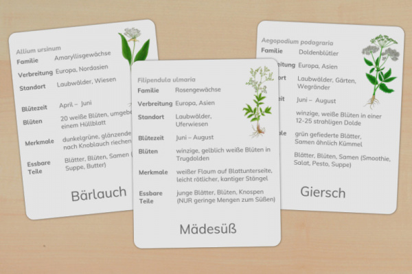 steckbriefe-wildkraeuter-download_1