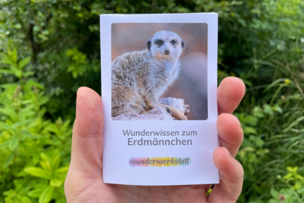 wunderwissen_faltbuechlein_erdmaennchen
