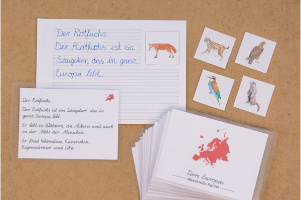 Abschreibekartei - 20 Tiere Europas abschreibekartei_tiere_europa_titel