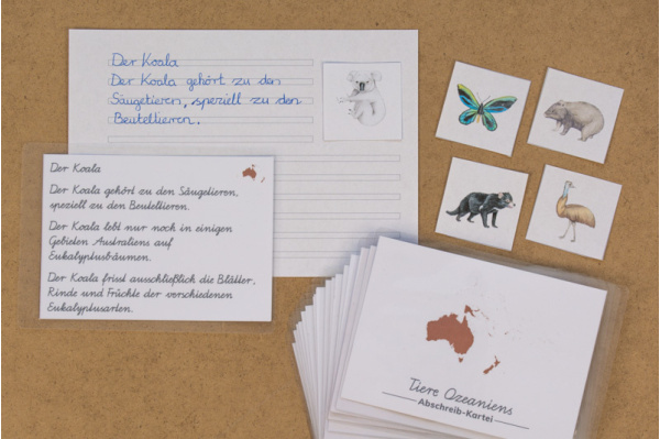 Abschreibekartei 16 Tiere Australiens und Ozeanien abschreibekartei_tiere_ozeanien_titel