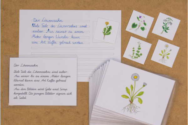 Abschreibekartei 12 Wildkräuter abschreibkartei_wildkraeuter_titel