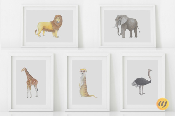 Tiere Afrikas Set (18 Zeichnungen) afrika_zeichnungen_set
