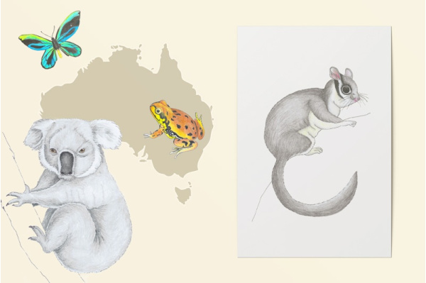Australische und ozeanische Tiere Zeichnungen einzeln australien_einzel_titel