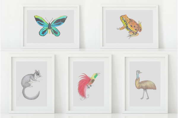 Tiere Australiens und Ozeaniens Set (16 Zeichnungen) australienset
