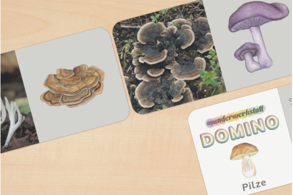 Pilze Domino (2fach differenziert) domino_pilze_druck_1