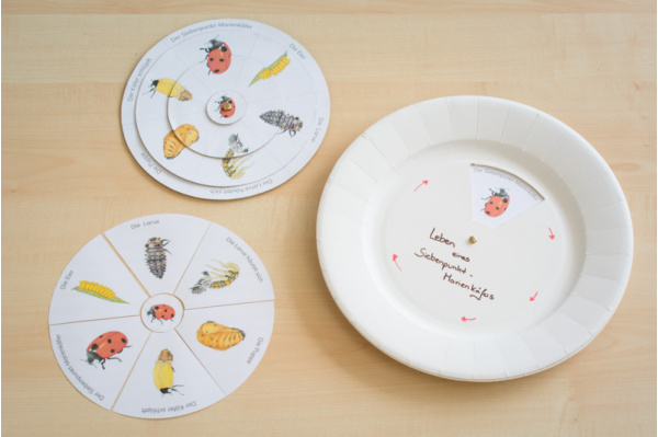 Drehpuzzle und Legekreis Marienkäfer (Download) drehkreis_marienkaefer