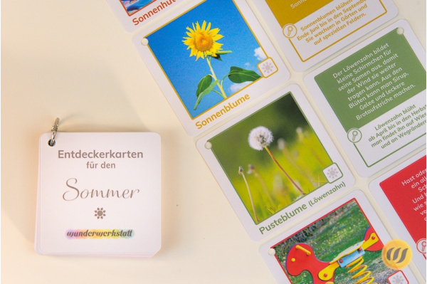Im Sommer - 36 Entdeckerkarten mit Suchtipps und Gesprächsstarter (3. Auflage) ek_sommer_mit