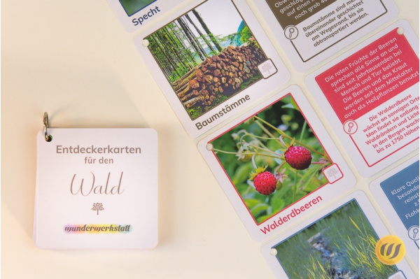 Im Wald - 30 Entdeckerkarten mit Suchtipps und Gesprächsstarter (3. Auflage) ek_wald_mit