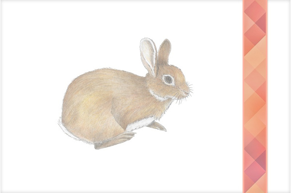 Download-Paket: Tiere Europas europa_tiere_paket
