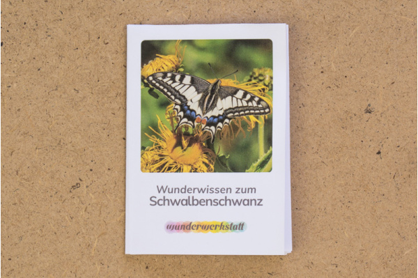 Faltbüchlein: "Wunderwissen zum Schwalbenschwanz" (Download) faltbuechlein_schwalbenschwanz